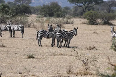 DSC_3468 (Large).JPG